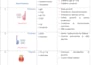 create aesthetic study notes summaries and notion guides